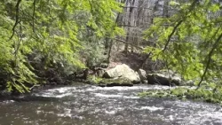 Take a little time out to enjoy the beauty of the Lackawanna River in Susquehanna County