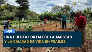 A vegetable garden strengthens friendship and quality of life in Frailes