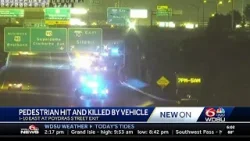 Person struck, killed on interstate in the CBD