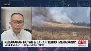 Kebakaran Hutan & Lahan Terus 'Meradang'