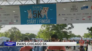 PAWS Chicago 5K Walk/Run kicks off at Montrose Harbor