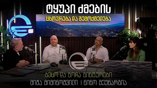 ტყუპი ძმების ცხოვრება და შემოქმედება
