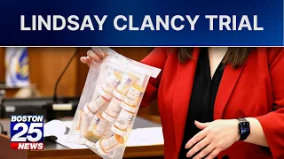 Could psychiatric meds be key to Lindsay Clancy's defense? Researchers examine drug effects