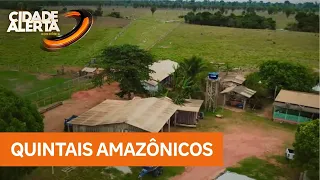 Projeto orienta produtores sobre produção sustentável e novas oportunidades no campo