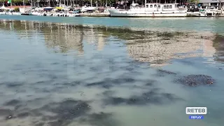 Pescara River Dredging - Operations Suspended