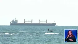 Кой стои зад ударите с дронове по корабите в Черно море? И Русия, и Украйна отрекоха да са отговорни