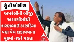 Narayan Kachhadiya | અમરેલીની બીજી અગાશીમાંથી નારણભાઈ કાછડિયા પણ પેચ લડાવવાના મૂડમાં નજરે પડ્યા