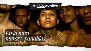 Gangs and criminal groups in the crosshairs as targets of the Shield of the Americas