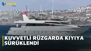DRAGGED ASHORE BY STRONG WINDS