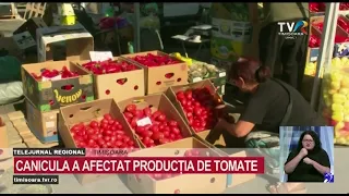 Heatwave causes massive impact on this year’s tomato production #RegionalNews @TVRTM
