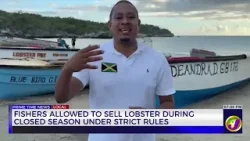 Fishers Allowed to Sell Lobster During Closed Season Under Strict Rules | TVJ News