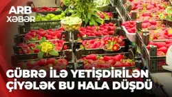 ARB XƏBƏR - Mövsümdən əvvəl çiyələk satışı – Ucuz qiymətlər şübhə doğurur ARB XƏBƏR - Mövsümdən əvvəl çiyələk satışı – Ucuz qiymətlər şübhə doğurur