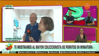 ¡La mayor colección de perritos en miniatura que busca el Guinness!