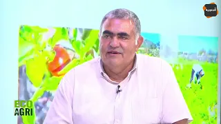 Salih Ben Youssef: Here is Why Tunisian Farmers Prefer Growing Fava Beans