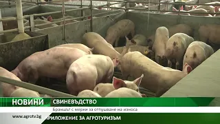 Централна емисия новини на Агро ТВ: 170 млн. евро помощ за стопаните, мерки за свиневъдството
