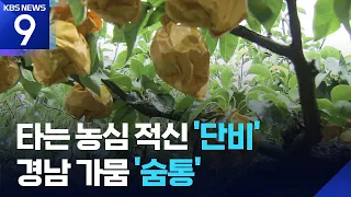 ‘Severe Drought’ Ends with Welcome Rain Across Gyeongnam… Relief for Farmers [9 O’Clock News] / K...
