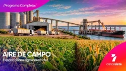Los desafíos de una nueva campaña para el agro argentino - Aire de Campo
