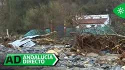 Andalucía Directo | Miércoles 11 de febrero