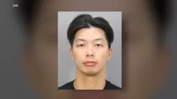 San Jose school trainer arrested for sexual battery of teen: police