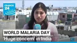 World Malaria Day: A cause of 'huge concern' among authorities in India • FRANCE 24 English
