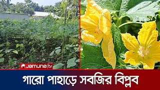 গারো পাহাড়ের আগাম শীতের সবজি যাচ্ছে ঢাকাসহ সারা দেশে | Sherpur | Vegetable | News | Jamuna TV