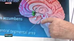 Sağlık Vakti - Melisanur Ülkü Tümer/Yalçın Güzelhan "Nörobilim nedir?" 07.03.2026