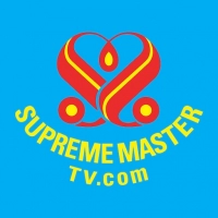 Supreme Master TV