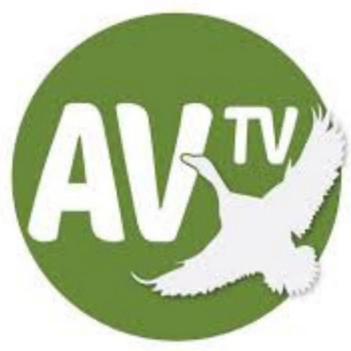 AV TV