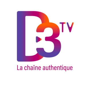 D3 TV