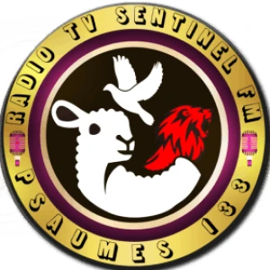 Radio Tele Sentinel