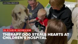 Facility dog comforts young patients at HSHS St. Vincent Children's Hospital Facility dog comforts young patients at HSHS St. Vincent Children's Hospital