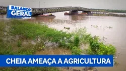 Aumento do Rio Madeira ameaça agricultura familiar na região Aumento do Rio Madeira ameaça agricultura familiar na região