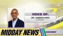 Economist Reacts to Taxation Announcement | Midday News Economist Reacts to Taxation Announcement | Midday News