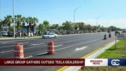 Protesters rally at Fort Myers Tesla dealership against Elon Musk and DOGE Protesters rally at Fort Myers Tesla dealership against Elon Musk and DOGE