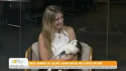 #BDCAnimal: Cresce número de coelhos abandonados nesta época do ano - 27/03/26 #BDCAnimal: Cresce número de coelhos abandonados nesta época do ano - 27/03/26