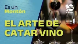 ¡MOMENTO FODIE! cómo CATAR y entender lo que tomamos ¡MOMENTO FODIE! cómo CATAR y entender lo que tomamos