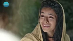 #SalióElSol ☀️ | Church of Jesus Christ: fe, comunidad y servicio #SalióElSol ☀️ | Church of Jesus Christ: fe, comunidad y servicio