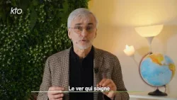 Le ver qui soigne Le ver qui soigne