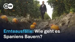 Spaniens Bauern leiden unter Extremwetter Spaniens Bauern leiden unter Extremwetter