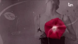 LIBERA 09 aprile 2026 LIBERA 09 aprile 2026