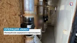 Севастопольские полицейские задержали мужчину, который выращивал коноплю Севастопольские полицейские задержали мужчину, который выращивал коноплю