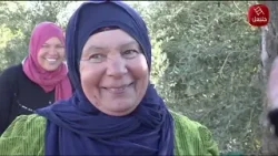 توا هكة EP 12 - الذهب الأخضر في الشمال توا هكة EP 12 - الذهب الأخضر في الشمال