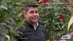 HECHO EN QUERÉTARO - ROSAS QRO HECHO EN QUERÉTARO - ROSAS QRO