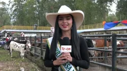Gachetá celebró la feria ganadera número 50 y fortaleció la economía del Guavio | Enlace Trece Gachetá celebró la feria ganadera número 50 y fortaleció la economía del Guavio | Enlace Trece
