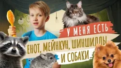 Мой питомец. Как уживается, енот, кот и собаки в одной квартире? Мой питомец. Как уживается, енот, кот и собаки в одной квартире?