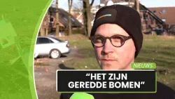 Emmerik volgt Nederlands voorbeeld met uitdelen gratis bomen en struiken Emmerik volgt Nederlands voorbeeld met uitdelen gratis bomen en struiken