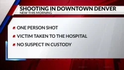 Расследуется смертельная стрельба, возможно, связанная с агрессивным поведением на дороге. Расследуется смертельная стрельба, возможно, связанная с агрессивным поведением на дороге.