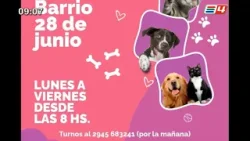 PATRICIA GIACOBONE: FAUNA URBANA PATRICIA GIACOBONE: FAUNA URBANA