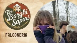 TRA BORGHI E SAPORI - Falconeria TRA BORGHI E SAPORI - Falconeria