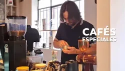 ☕? Café especial en Tabio: Un emprendimiento que transforma la caficultura | Enlace Trece ☕? Café especial en Tabio: Un emprendimiento que transforma la caficultura | Enlace Trece